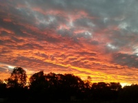 Sunset at Donnybrook
